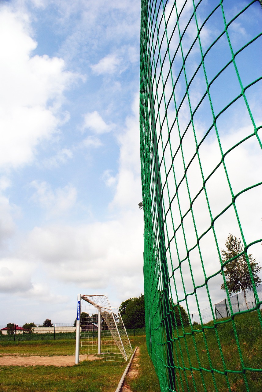 富的老将外 富的老将外