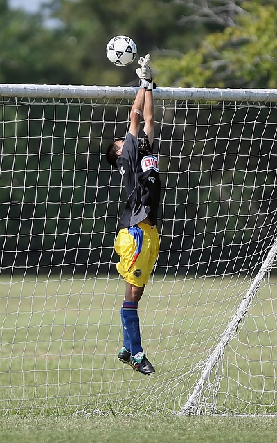 地的无限可 地的无限可