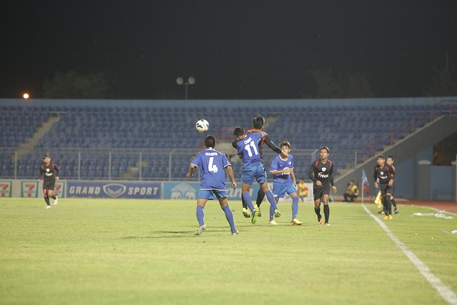 他们特地安 他们特地安