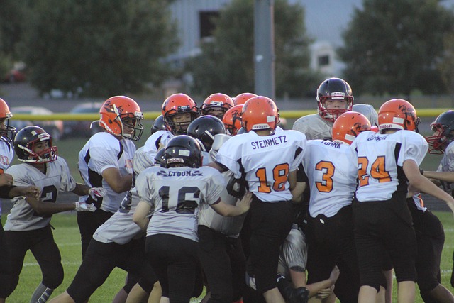 的参与模式 的参与模式