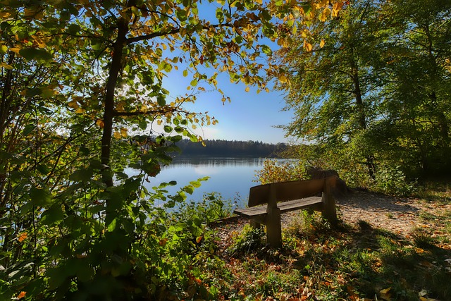 这不仅是他 这不仅是他