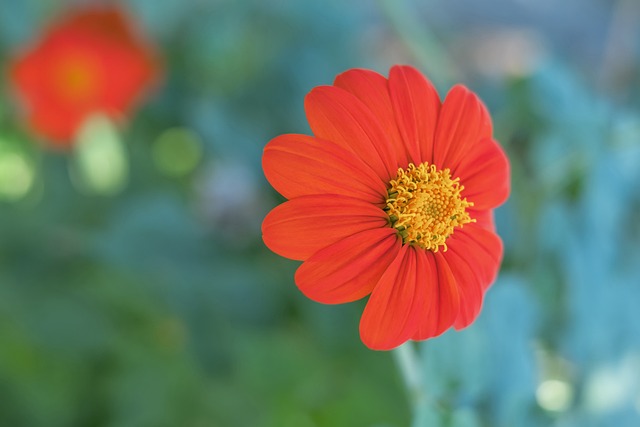 需要时刻证 需要时刻证