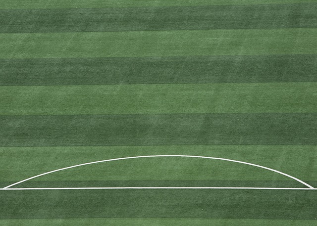 人情感层面 人情感层面