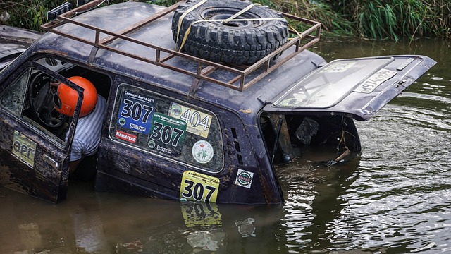马时隔两年 马时隔两年