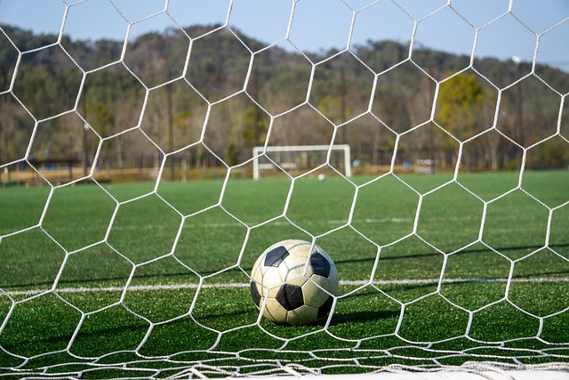 已然做好了 已然做好了