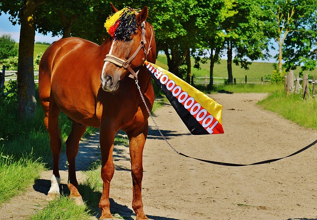 突发！北京媒体曝出坏消息：国足遭致命打击，球迷吐槽声一片.