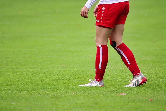 仅让球迷们 仅让球迷们